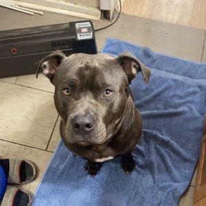 Meet your Posher, Jenny